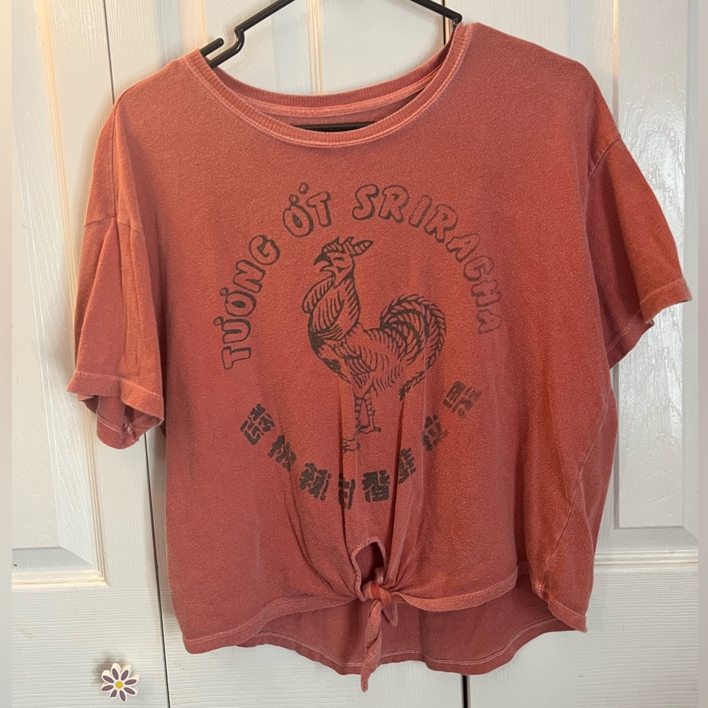 American Eagle Crop Top